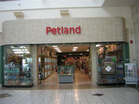 DeJohn Pet Services. . Petland strongsville photos